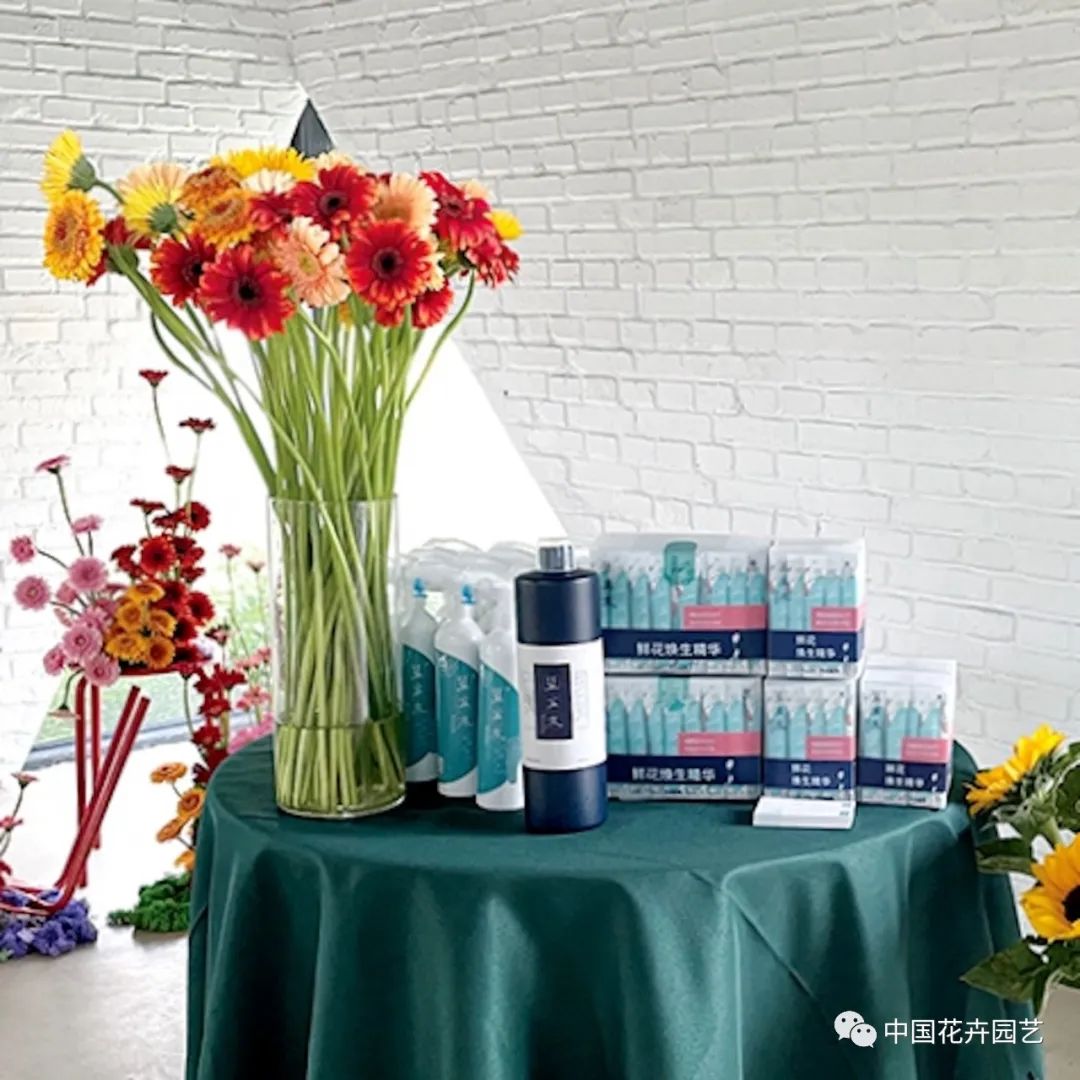 “蓝盆友”送给花朵的新春礼物|“花·礼”专题