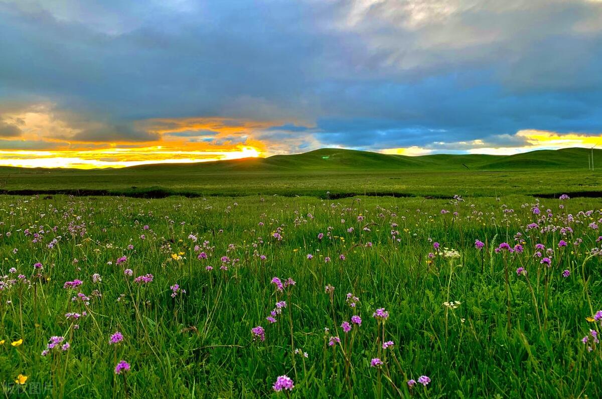 四川最美草原—若尔盖草原欣赏