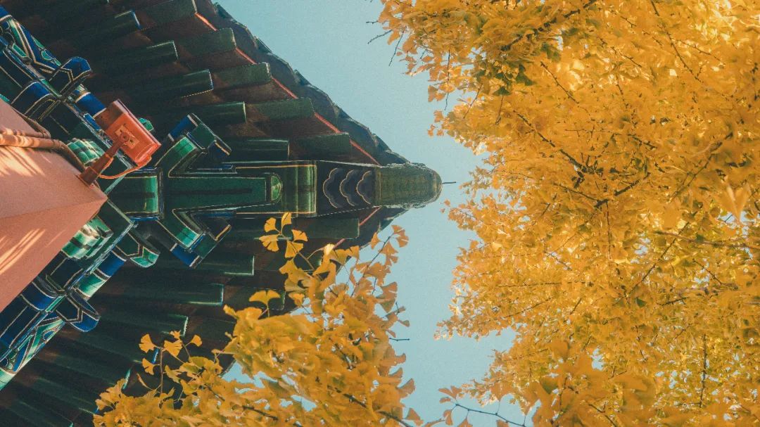 乡村民宿开发经营的机遇、陷阱及赢利点