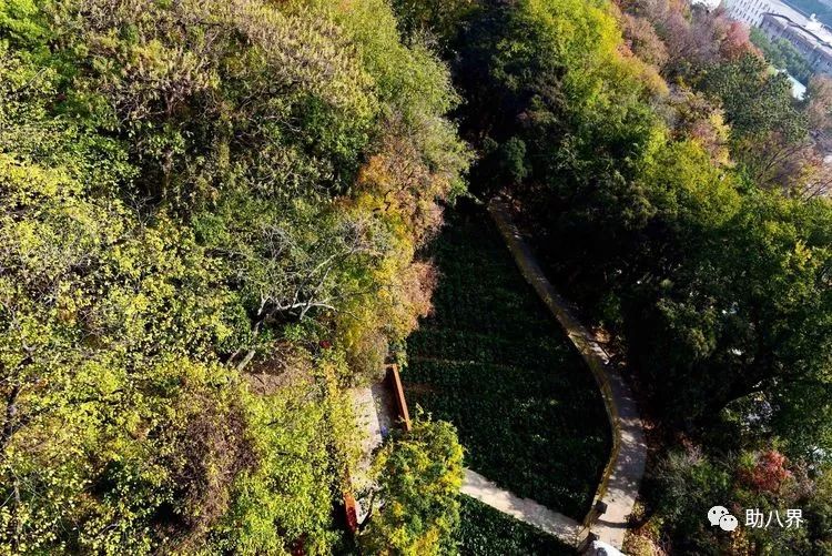 武汉必打卡的十大景点介绍,武汉南湖网红打卡景点