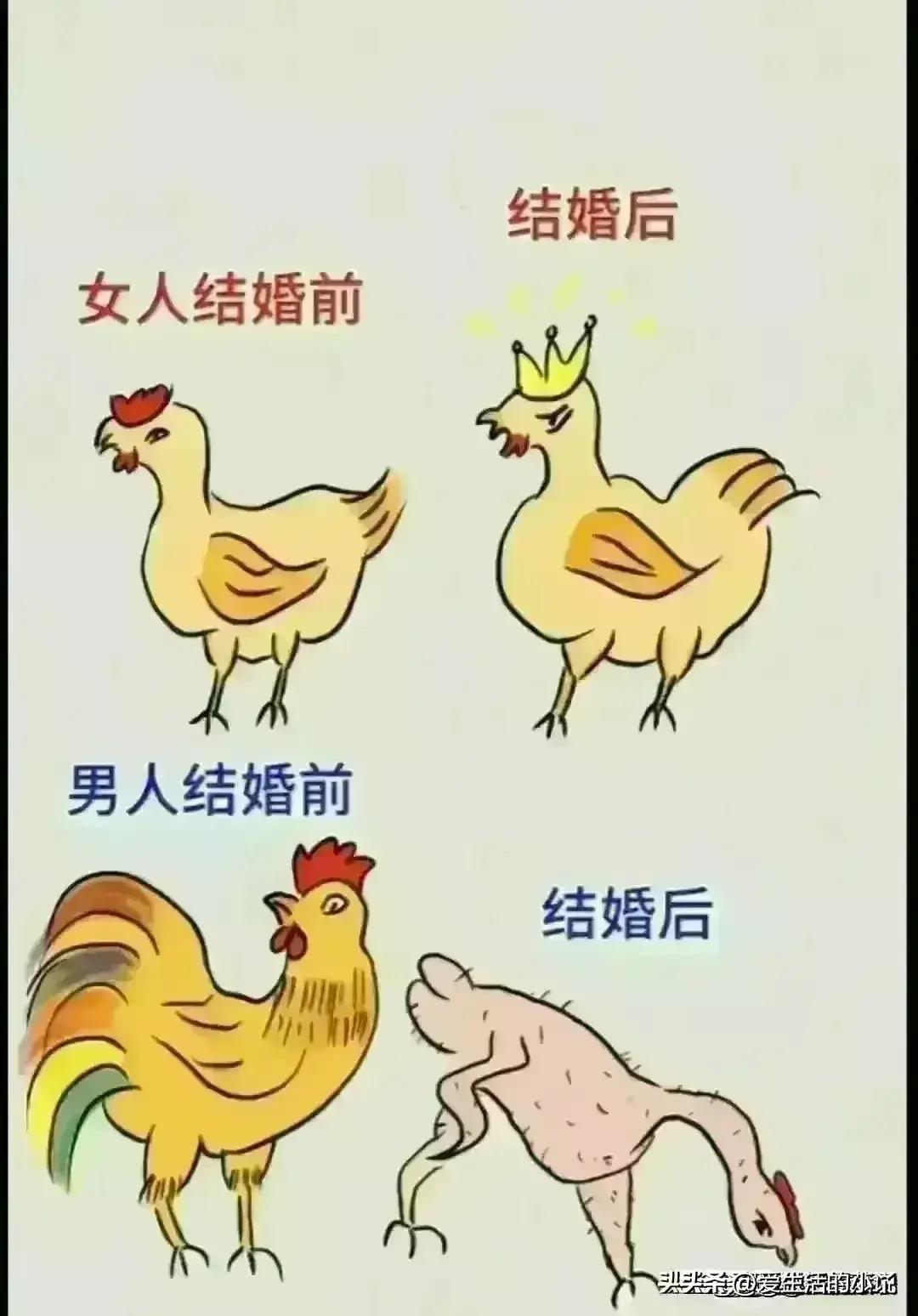 婚后夫妻最真实的状态漫画,夫妻之间最好的相处状态漫画