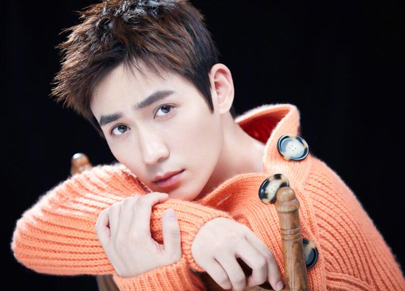 靳东和雷佳音近况,雷佳音和靳东谁的名气更大