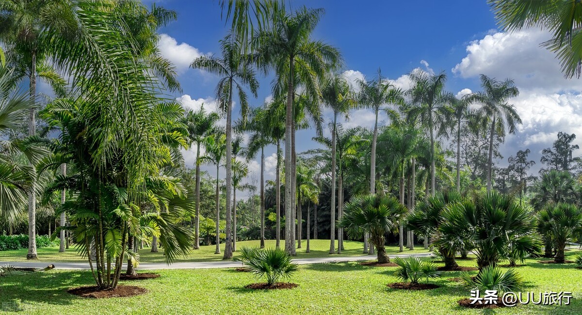 这才是云南最值得去的16个地方,云南最值得去的几个地方