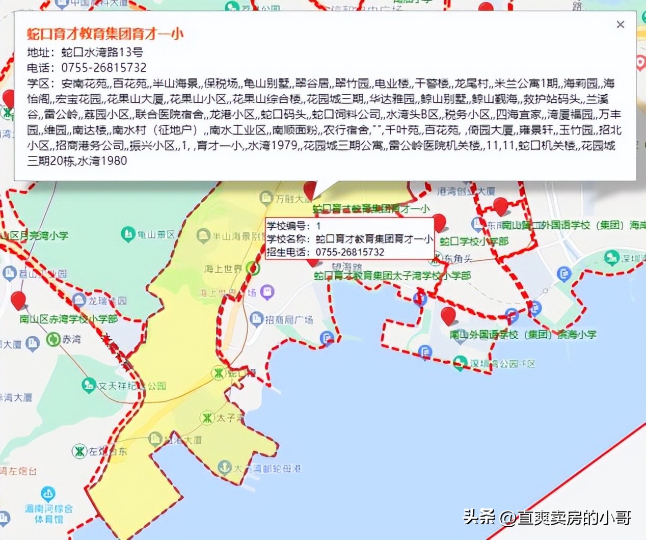 南山积分70分大概能进什么学校,南山育才小学学区划分
