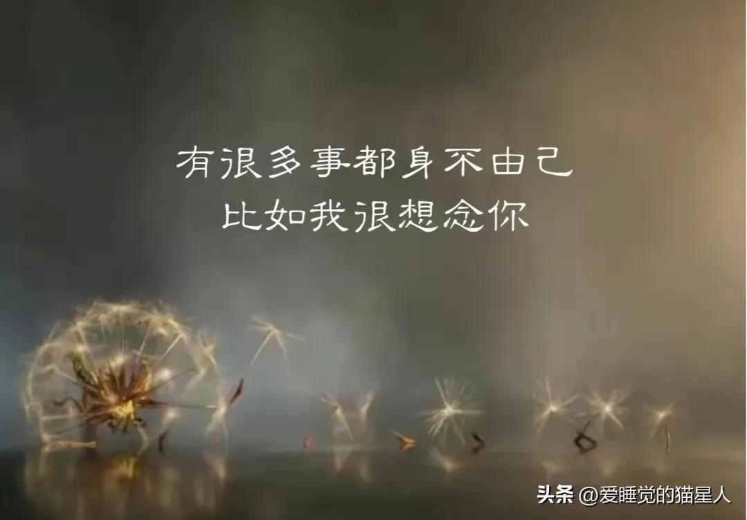 真正爱上一个人是从怕失去开始的,我不会爱上任何人因为我害怕失去