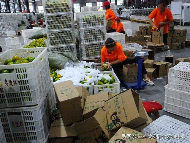 农业发展重点突破,农业创新发展模式