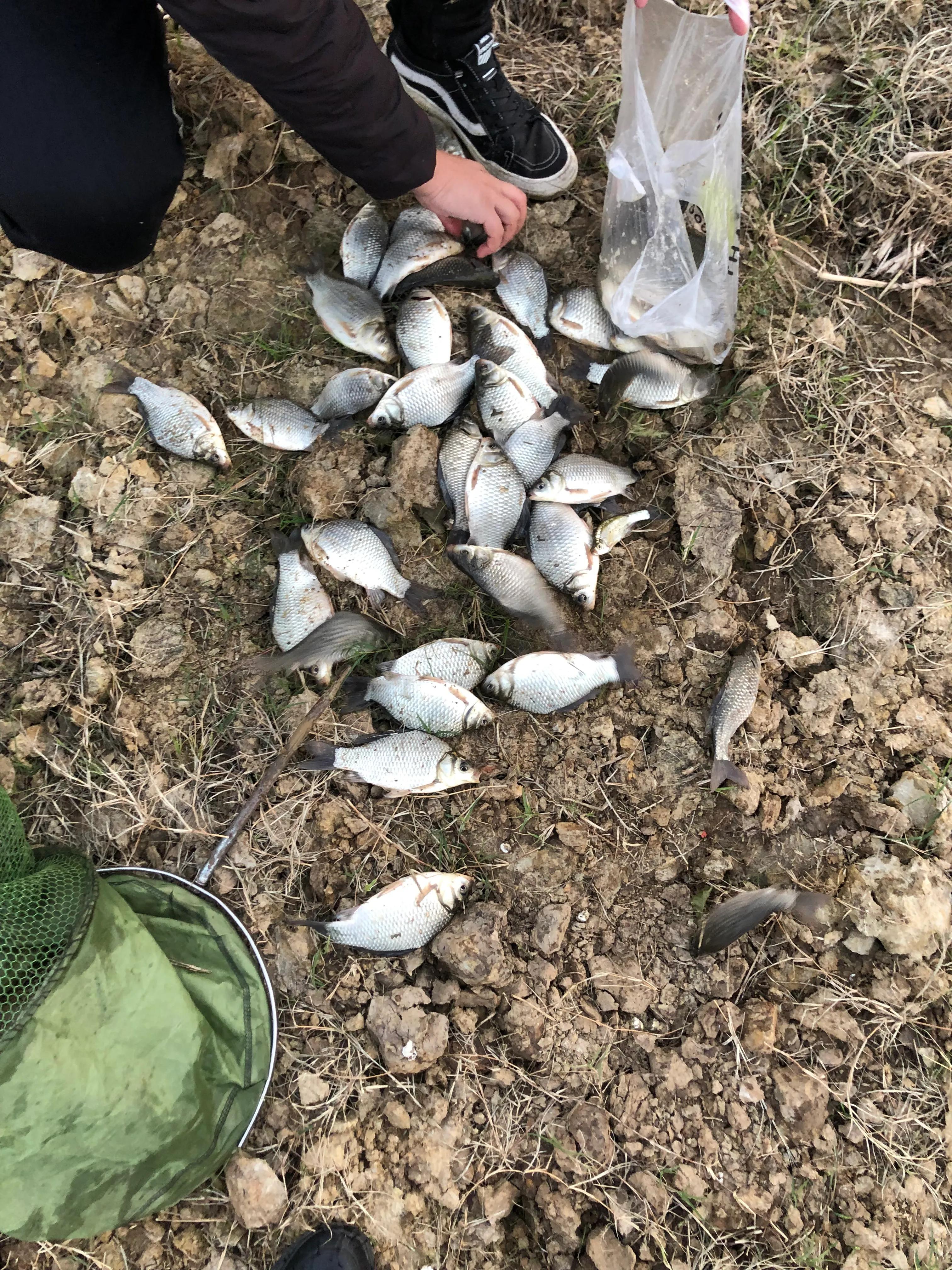 钓鱼方法与技巧野钓入门,路亚钓鱼技巧新手入门