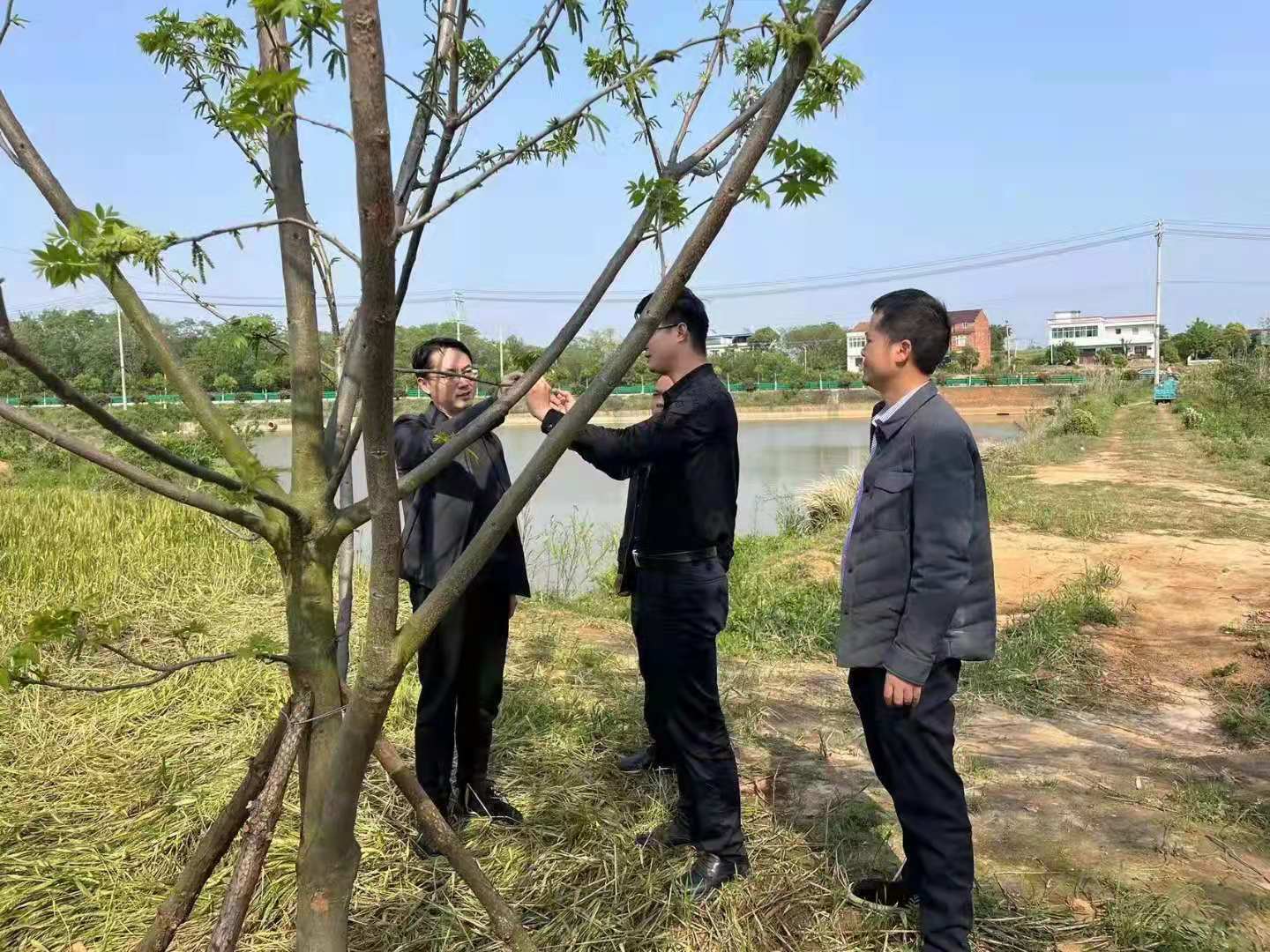 “望儿洲”上兴望墩——记宿松县下仓镇兵支书石争光|作者王宇平