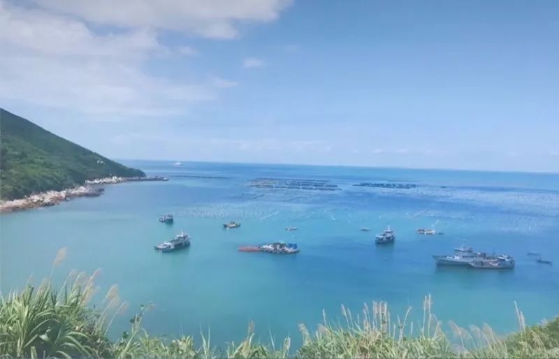 上海附近小岛最便宜的民宿,上海周边海边民宿