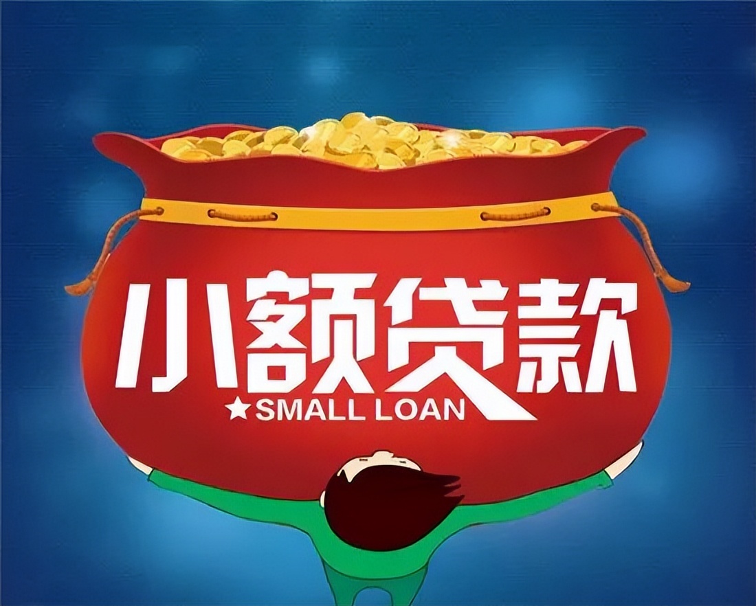 小额贷款公司涉案判例,以案说法贷款