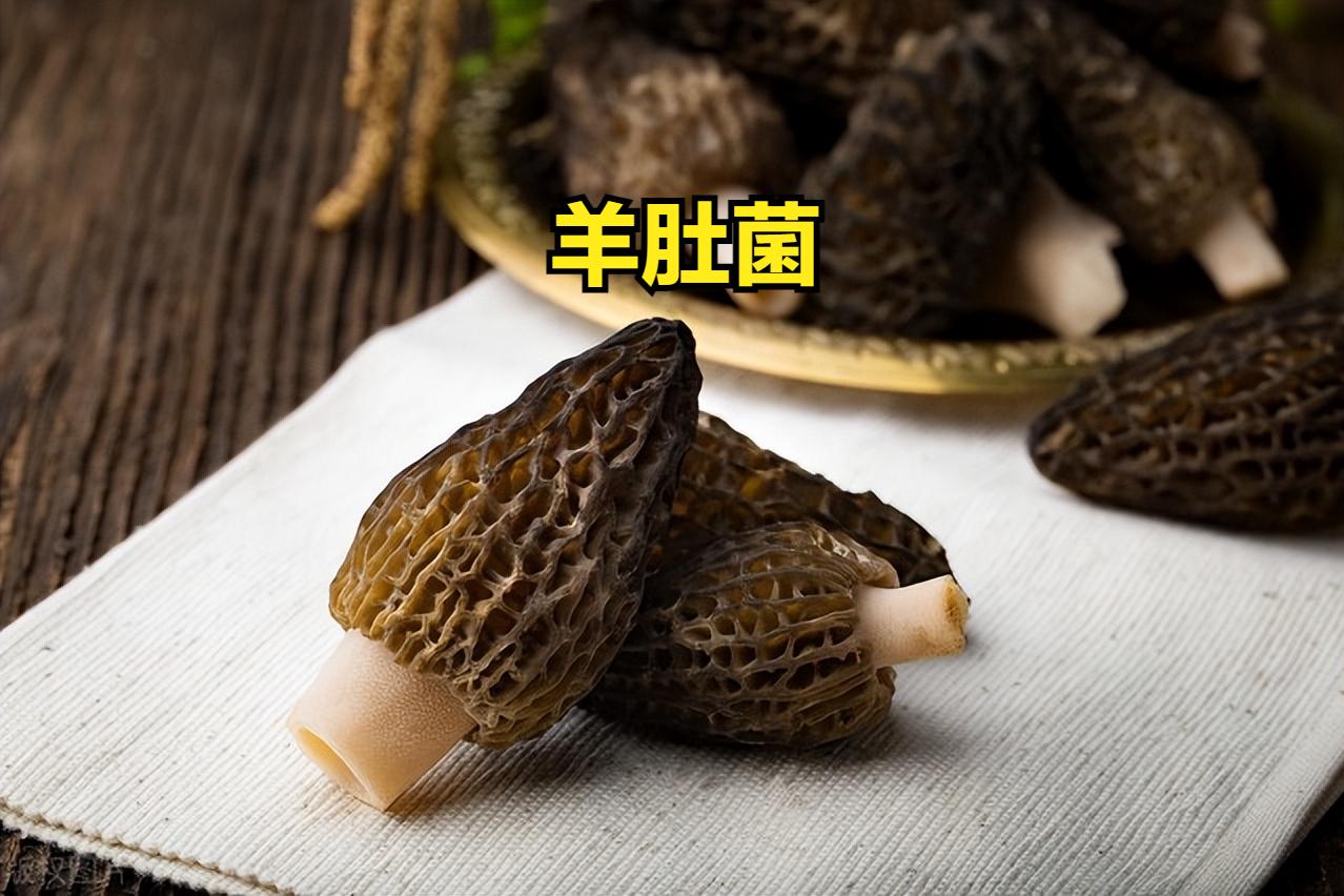 云南公务员待遇性价比,云南省各地市公务员待遇排行榜