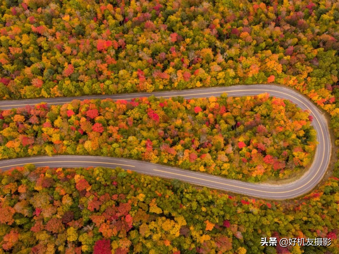 手机相机与朋友圈,发朋友圈用啥相机