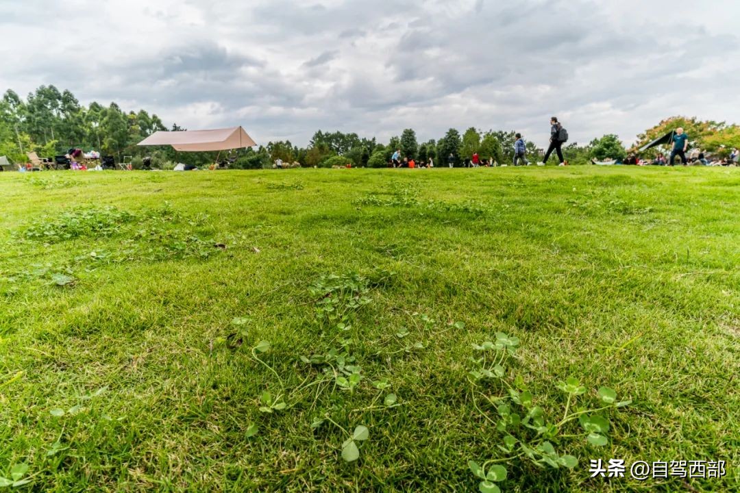 成都兴隆湖湿地公园在哪个区,成都桤木河湿地公园旅游攻略