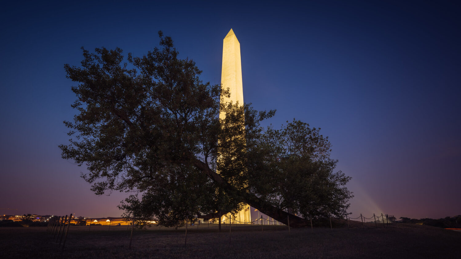 在华盛顿遇到中国人,在华盛顿