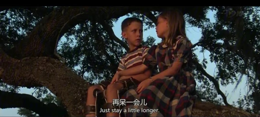 阿甘正传在电影史上的意义,电影阿甘正传中阿甘的信念是什么