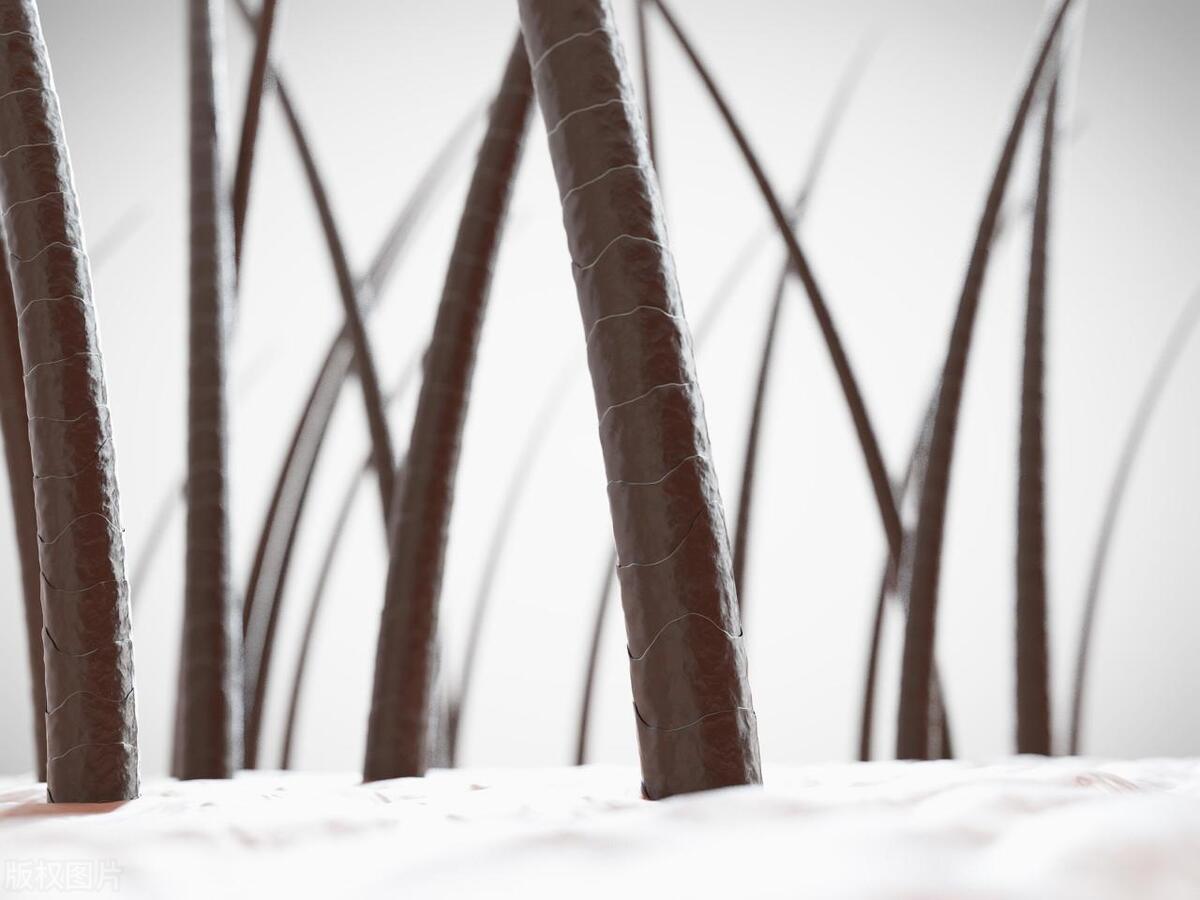 我25岁,第一次穿比基尼时，男友发现毛毛漏出来，毛毛可以刮吗？