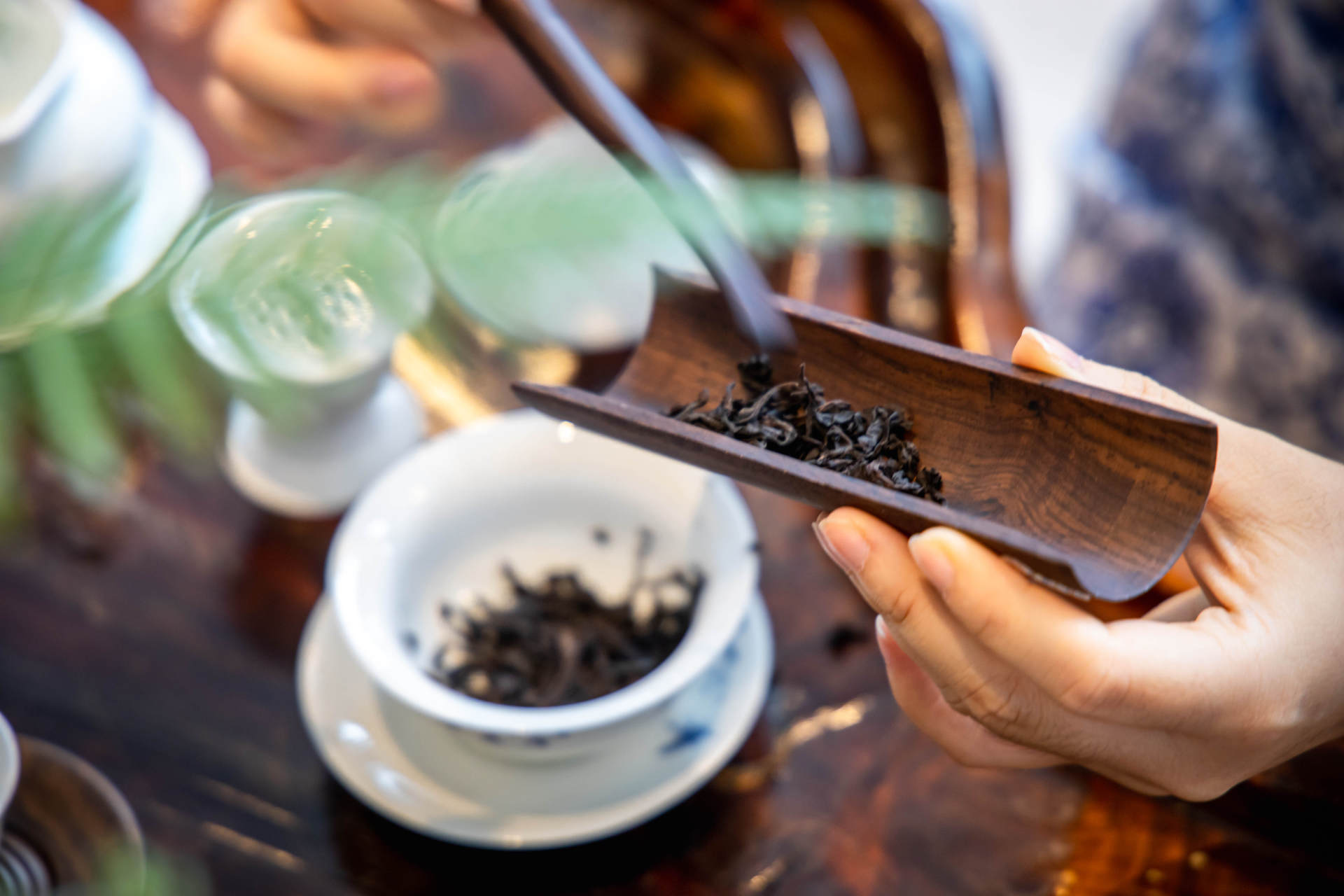 湾区羙好生活周报|星语祝福,十二月新愿季