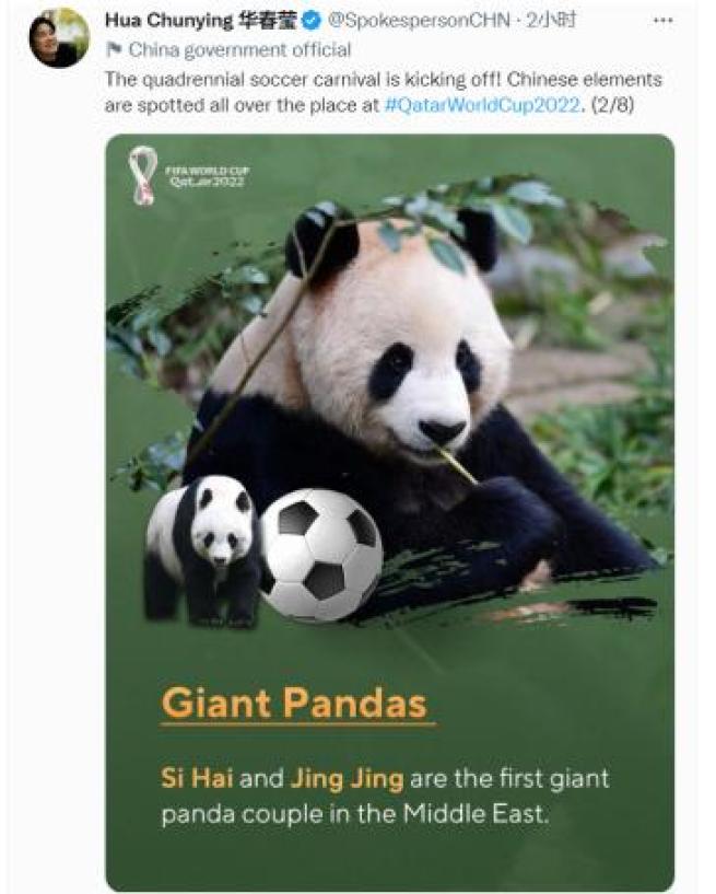 中国在卡塔尔参加足球赛吗,中国在卡塔尔的项目