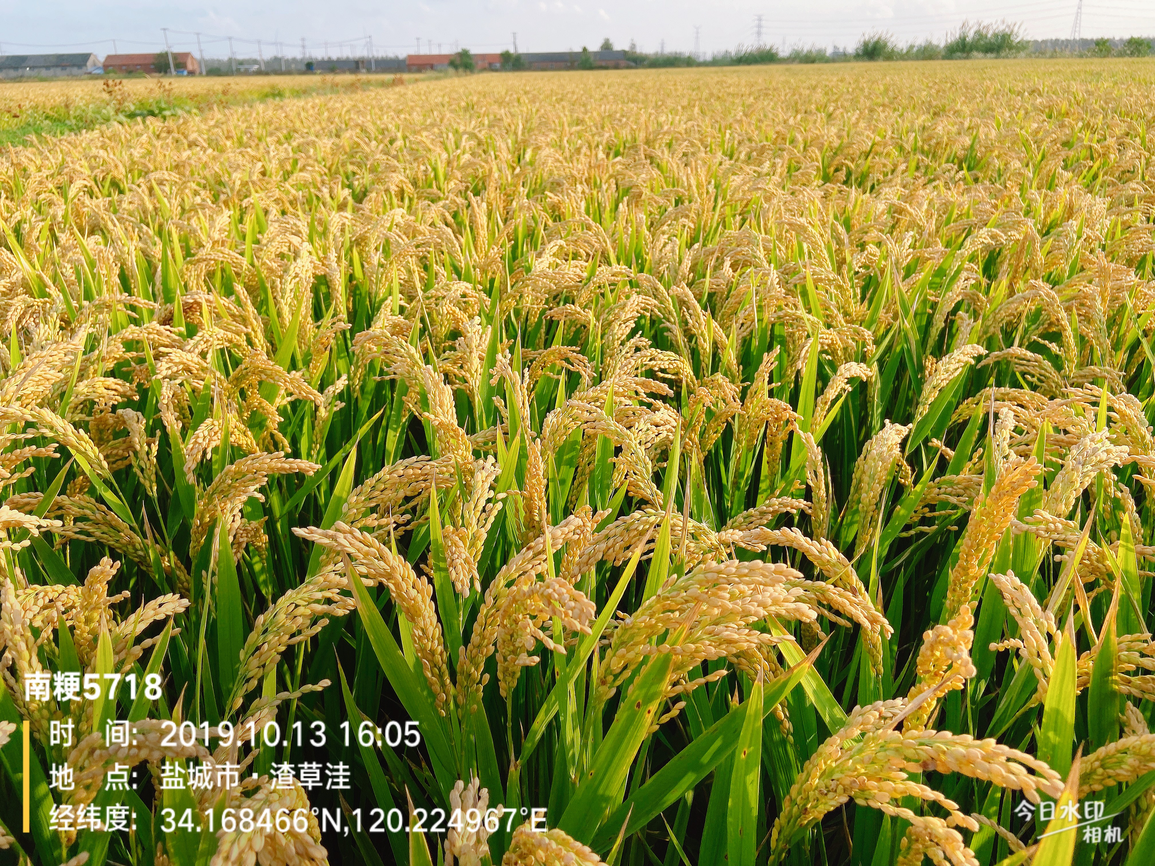 姹熻嫃绁炲啘澶т赴绉嶄笟灏忛害鍝佺,姹熻嫃绁炲啘鍐滀笟鏈夐檺鍏徃