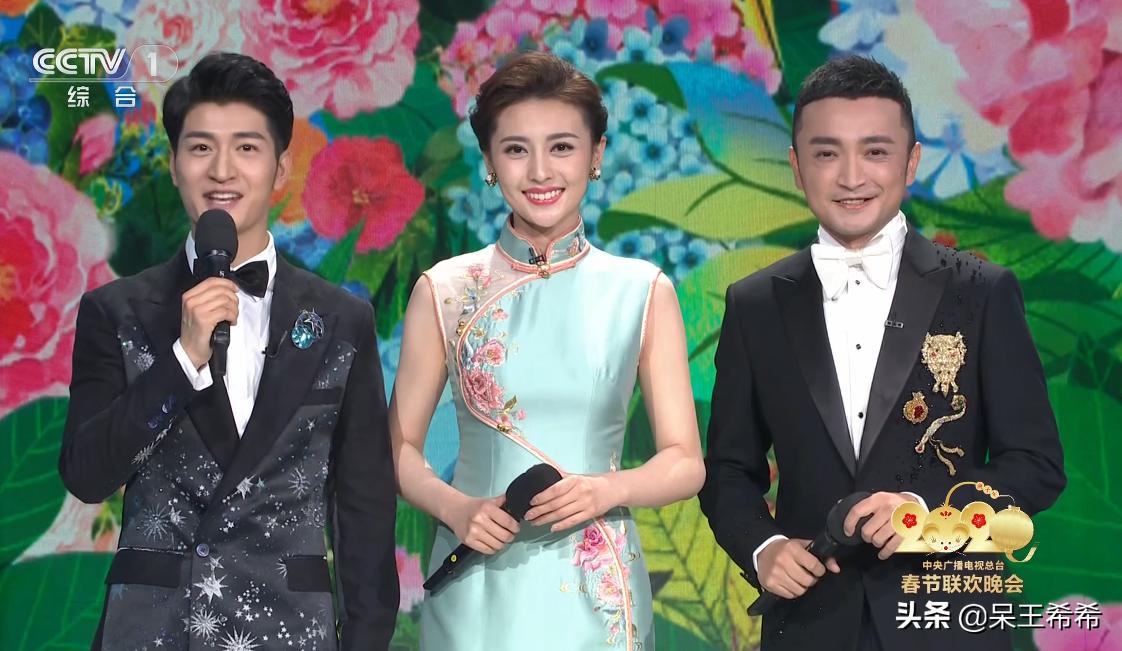 央视春晚主持人鲁豫简介,央视春晚开场任鲁豫