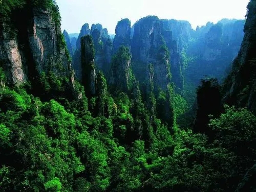 湖南嗜血野人：7岁掉入天坑，生吃蛇鼠存活8年，结局让人哭笑不得