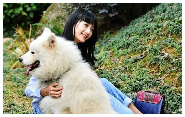 狗为啥喜欢闻狗屁股,为什么狗喜欢闻狗屁股