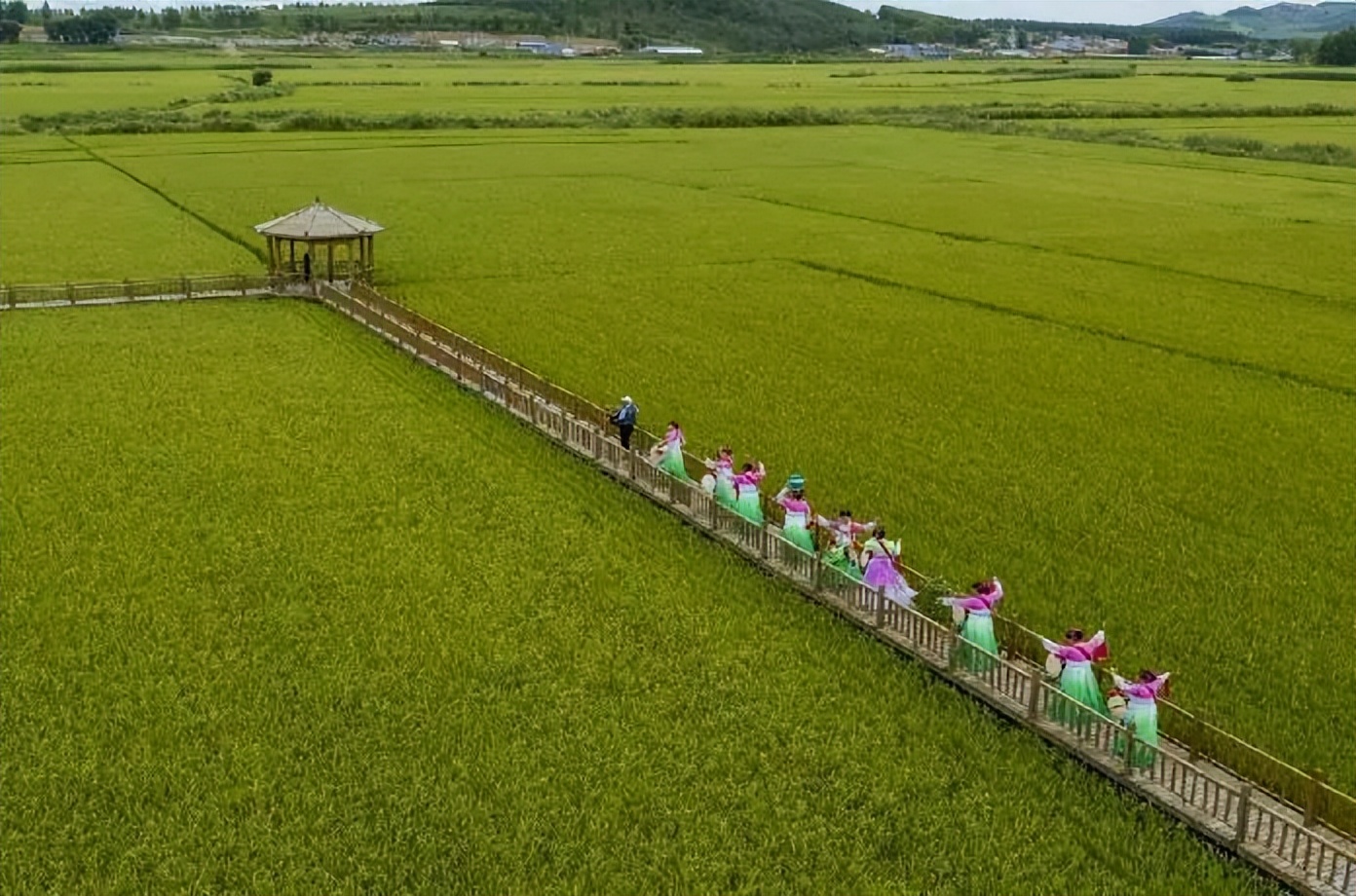 人这一辈子总得来一趟,人这一辈子一定要来日本