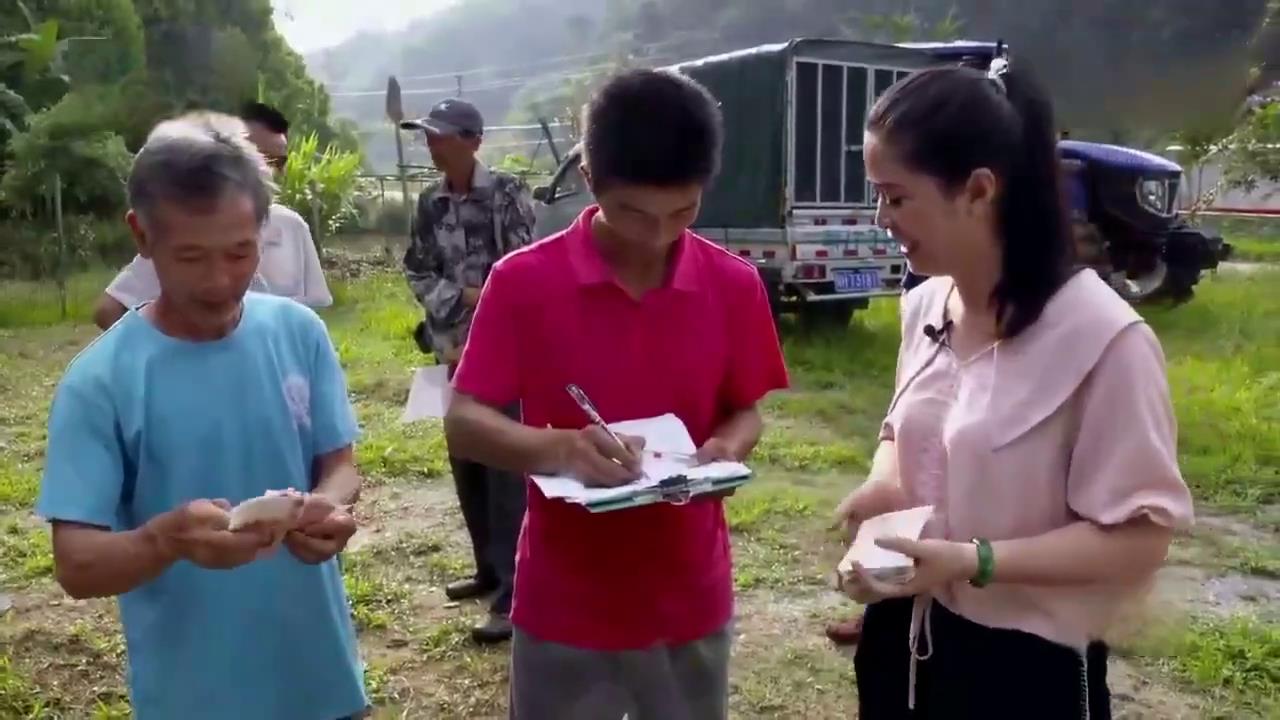 小作坊制作豆角,腌豆角加工