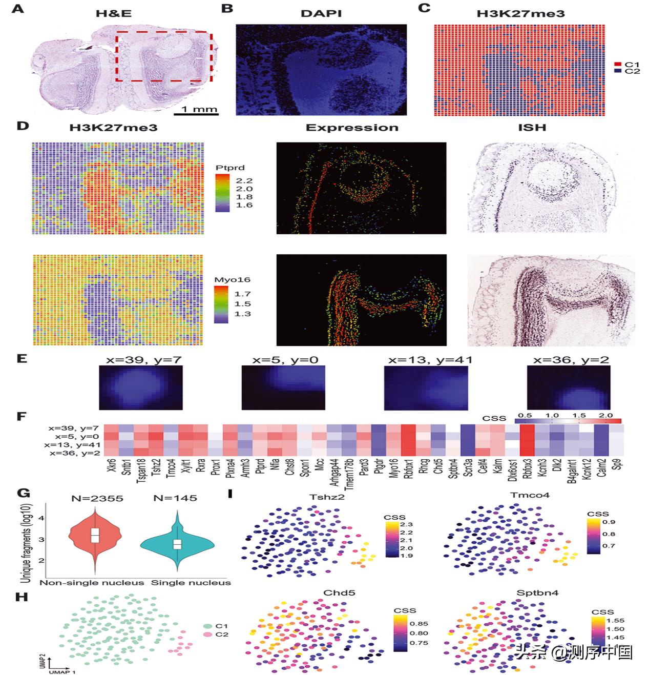 开启空间组学新维度！樊荣团队发表Spatial-CUTTag技术