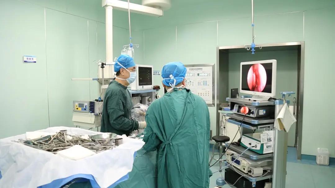 第一健康｜知己知“鼻”海慈耳鼻喉科守护鼻腔健康