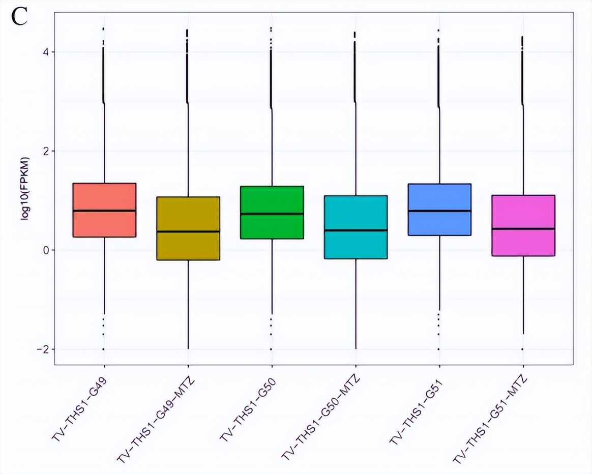 毛滴虫性妇科炎症甲硝唑,治毛滴虫用甲硝唑好还是替硝唑好