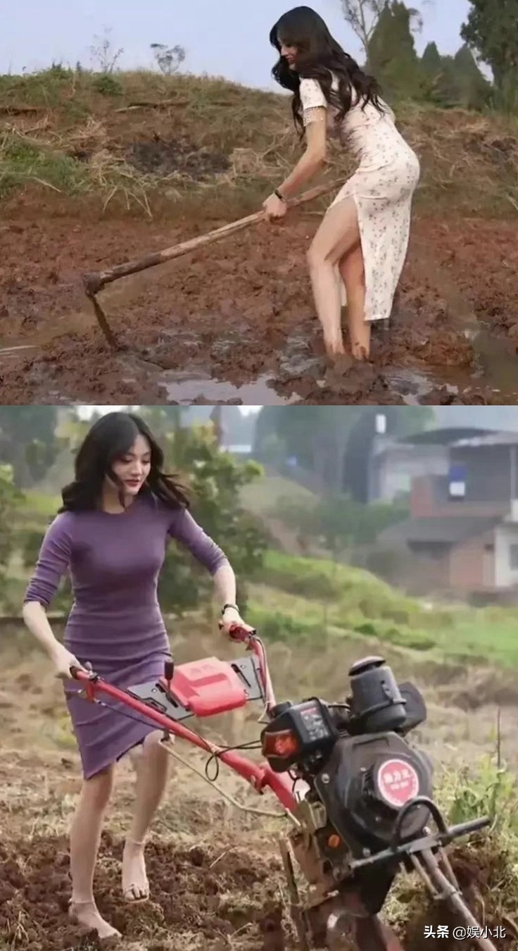 江湖气被追捧，小混混被推崇，网红“毒瘤”还是“反噬”了年轻人