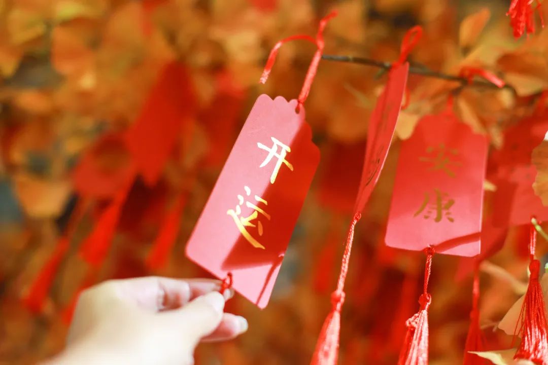 去苏州周庄古镇游玩的最佳攻略,苏州周庄古镇最新旅游攻略