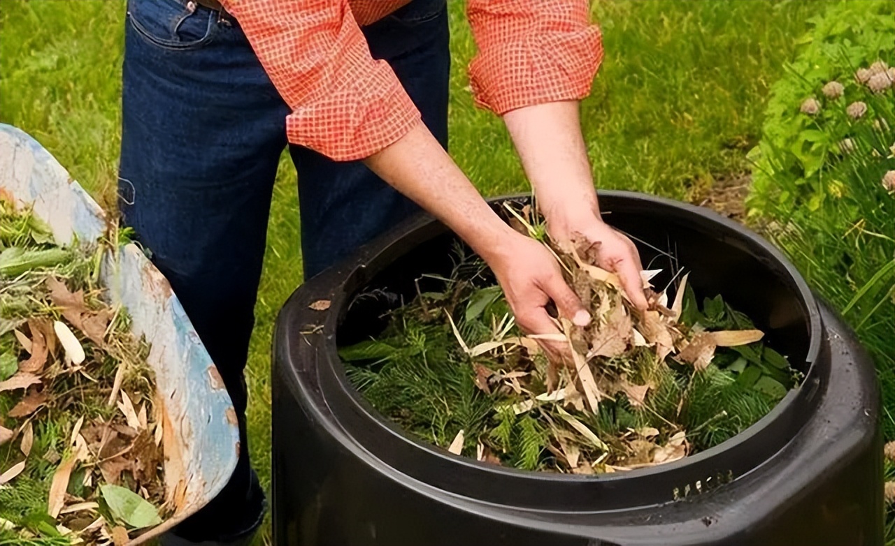 新手养花必学自制营养土,营养土田园土养花1比1可以吗