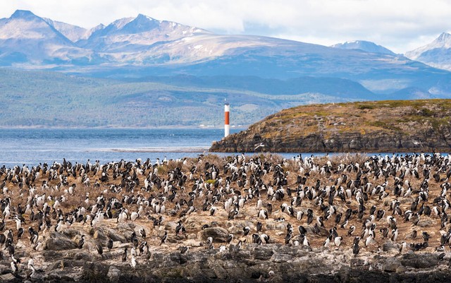 阿根廷南美洲足球,阿根廷南美洲国家