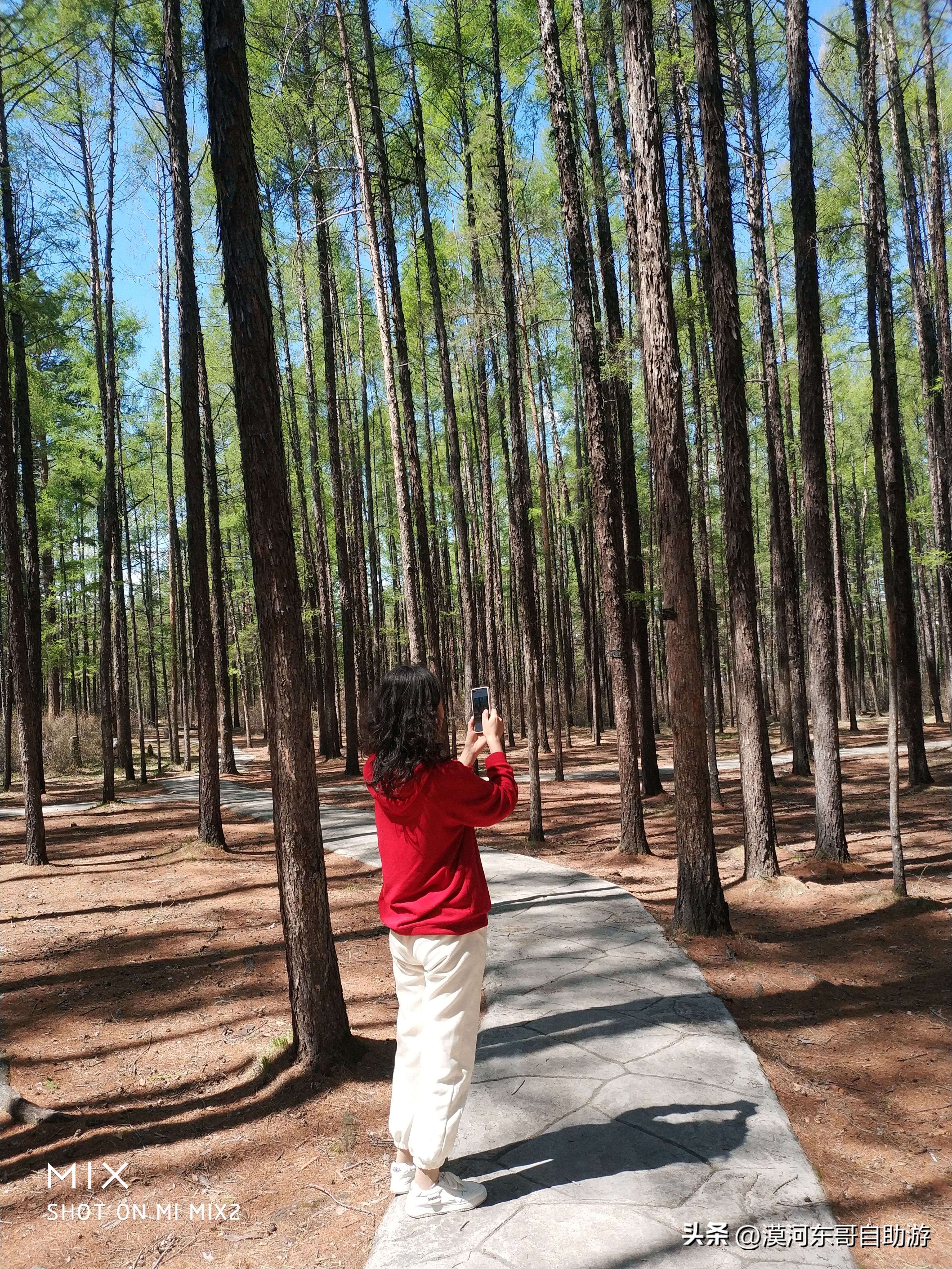 带你去看杜鹃花完整版,漠河旅游攻略一览表
