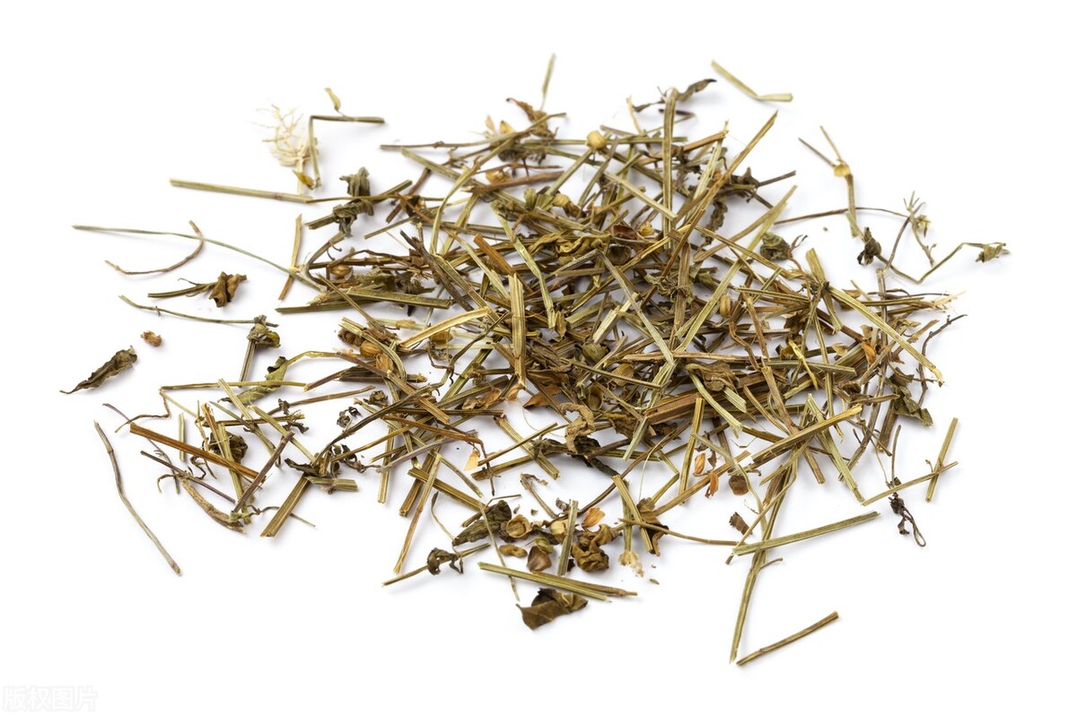 半枝莲有哪些功效和作用,半边莲和半枝莲功效作用