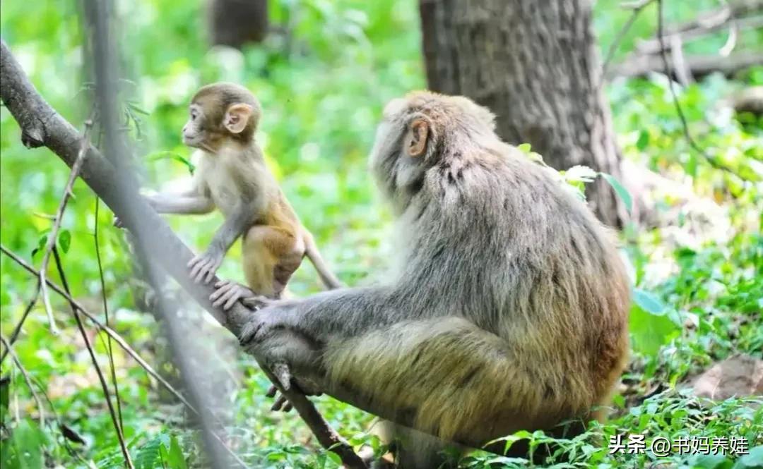 徐州自驾游一日游景点大全,徐州4日游必玩景点攻略