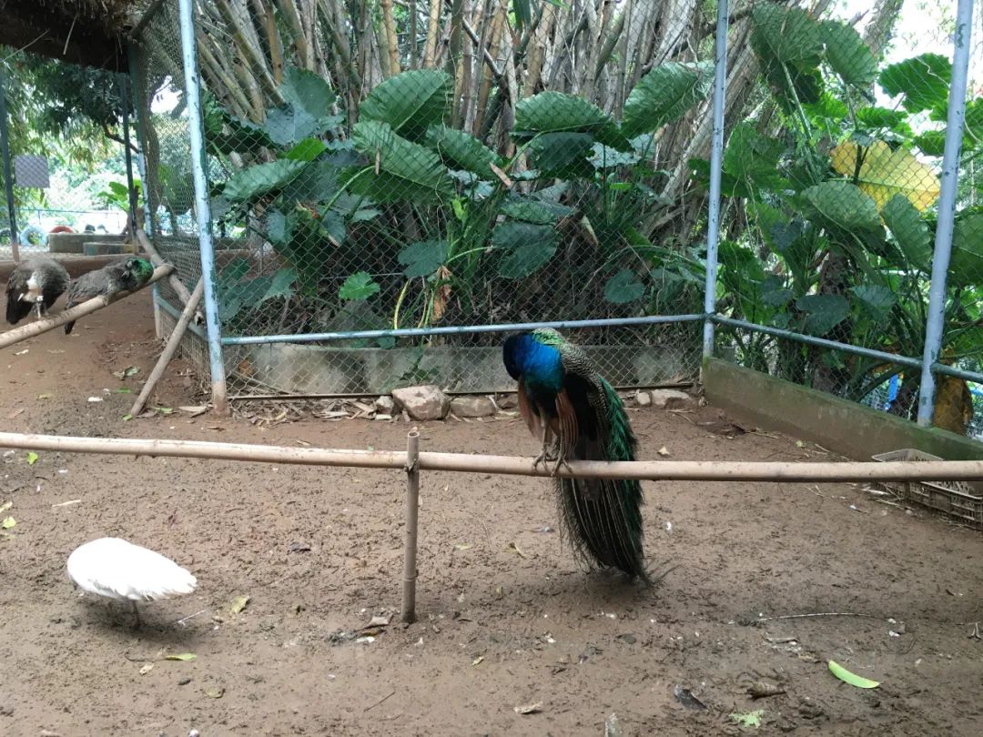 旭光电动车行,旭光车行向阳路