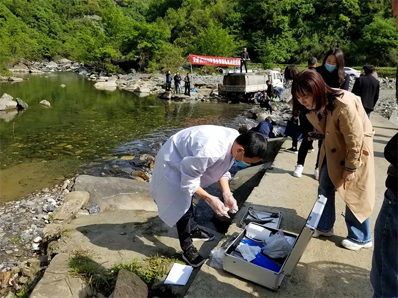 湖北一山洞吐鱼视频,湖北一山洞每年吐鱼