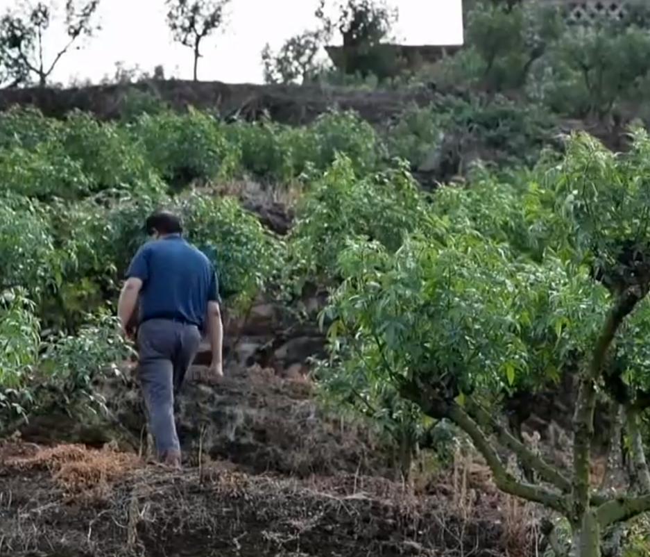废旧物变废为宝加工,变废为宝致富商机