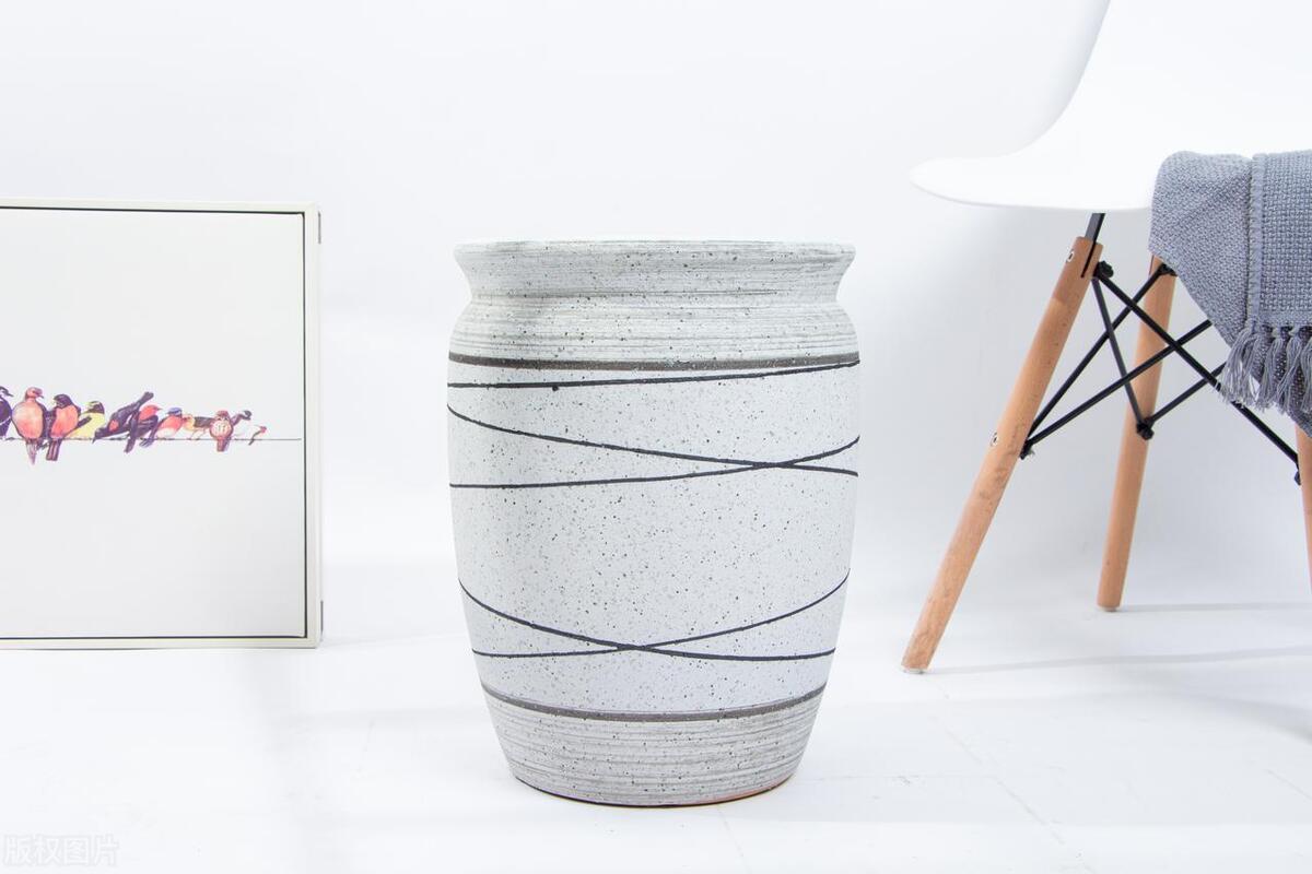 室内好养的绿植方形花盆,最难养的绿植客厅花盆推荐