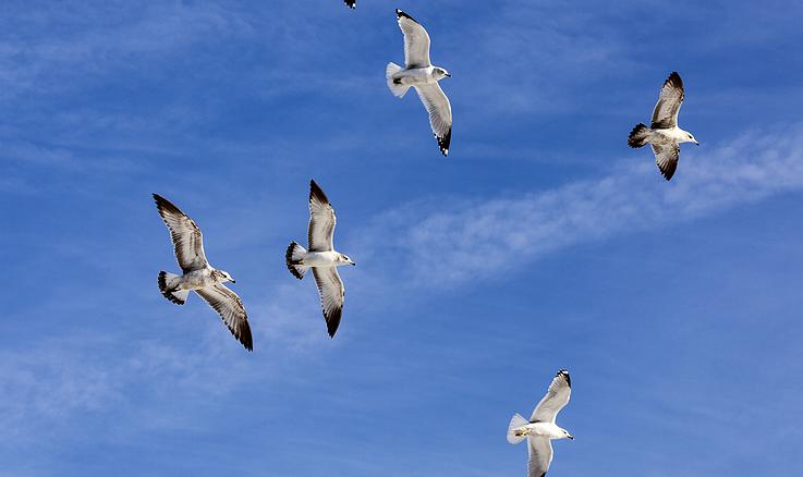十首人生感悟的诗词名句,最有人生意境的诗词