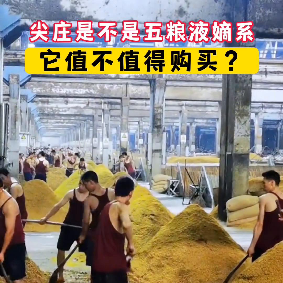 绵柔尖庄是不是五粮液的嫡系产品呢?它值不值得我们购买呢...