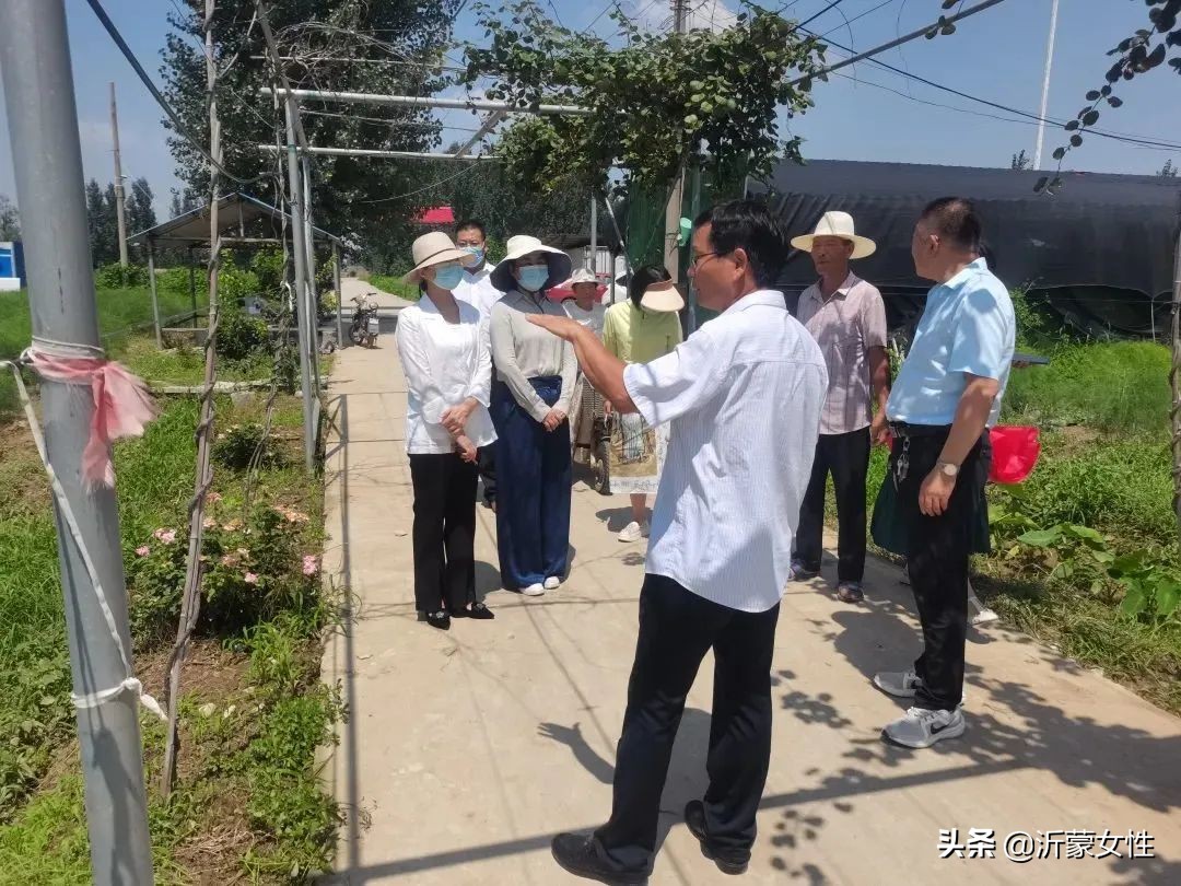 “沂”起学理论·创业创新巾帼行罗庄、沂水、费县、兰陵开展“乡村振兴巾帼行动”沂蒙行志愿服务直通车活动