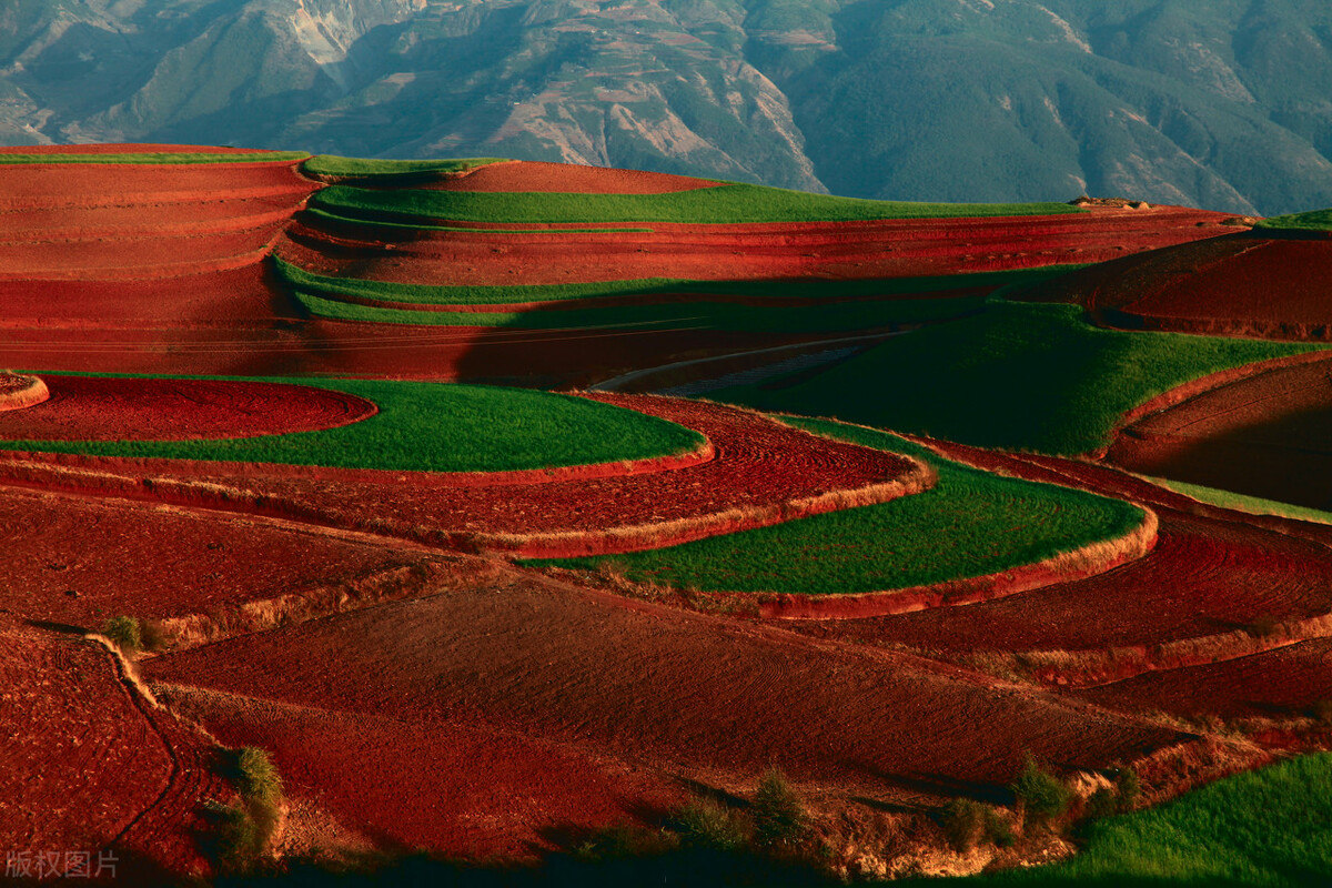 昆明及昆明周边景点,去昆明旅游攻略必去景点最新