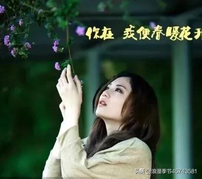 寻了半生的春天你一笑便是了英文,寻了半生的春天你一笑便是了翻译