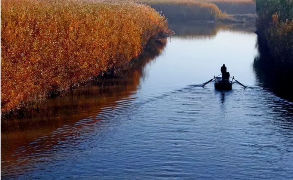 河北安新话,安新县历史上的文化