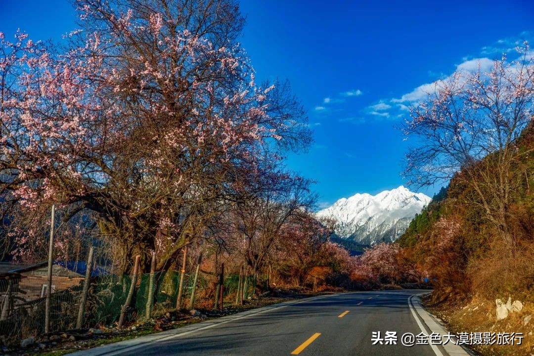 3月份去西藏林芝,3-4月去西藏林芝好玩吗