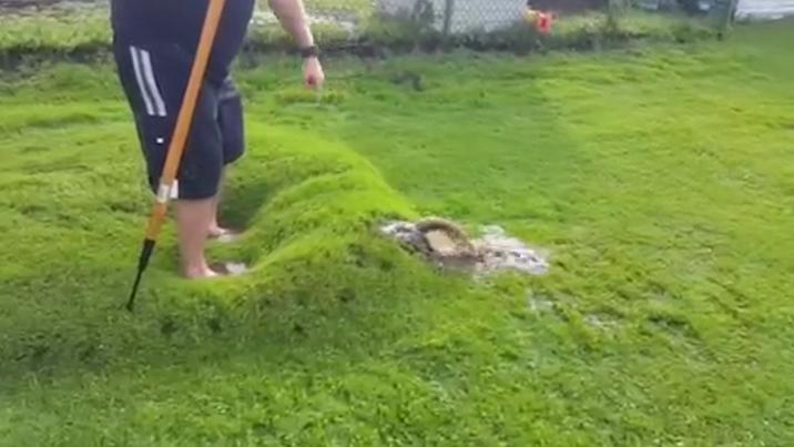 为什么草坪里面有很多水,不可思议的草坪水